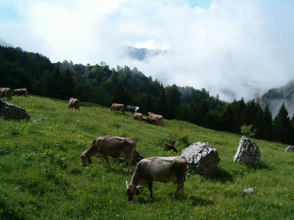 Bauernhof La Zangola Tremosine